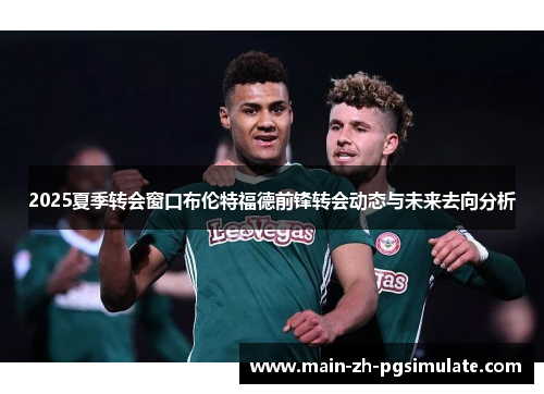 2025夏季转会窗口布伦特福德前锋转会动态与未来去向分析 2025夏季转会窗口布伦特福德前锋转会动态与未来去向分析